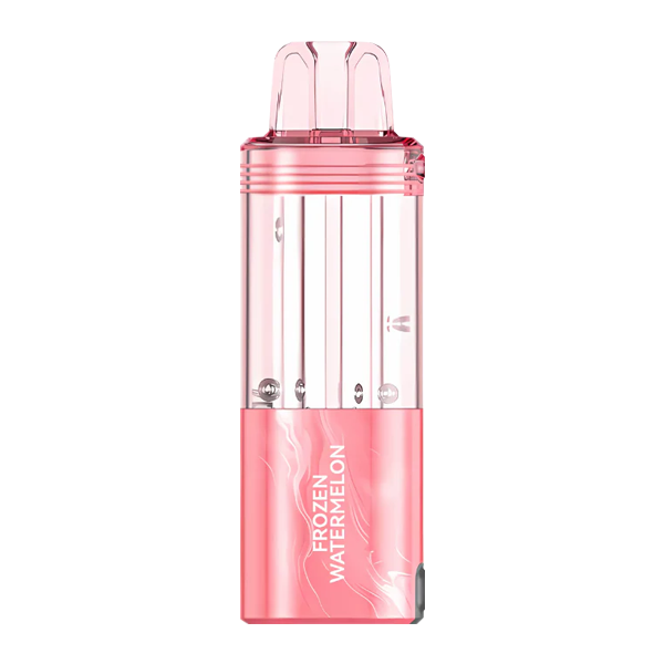 BUY 1 GET 1 FREE Frozen Watermelon FOGER Switch Pro Disposable | Vape Amazon India