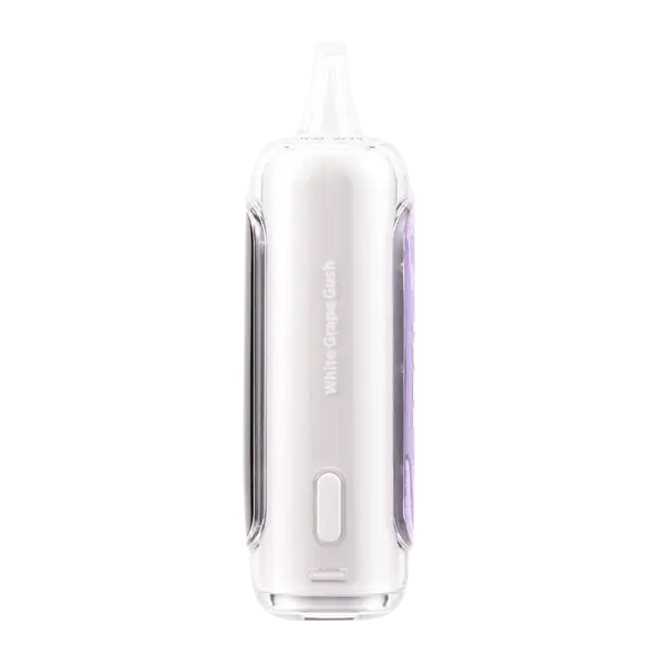 BUY 1 GET 1 FREE Buy 1 Get 1 Free White Grape Gush RAZ LTX 25000 GUSH EDITION | Vape Amazon India RAZ