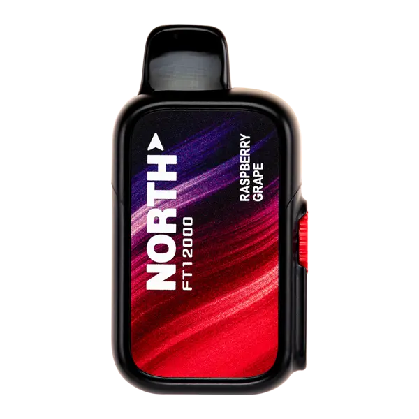 BUY 1 GET 1 FREE Raspberry Grape North FT12000 | Vape Amazon India