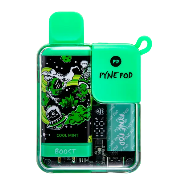 BUY 1 GET 1 FREE Cool Mint Pyne Pod Boost | Vape Amazon India