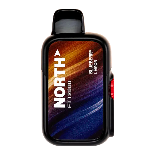 BUY 1 GET 1 FREE Blueberry Lemon North FT12000 | Vape Amazon India