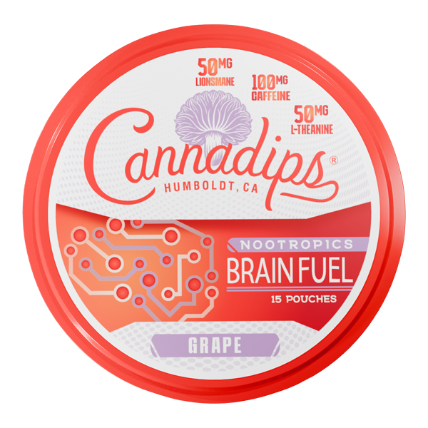 BUY 1 GET 1 FREE Grape CANNADIPS Brain Fuel Pouches | Vape Amazon India