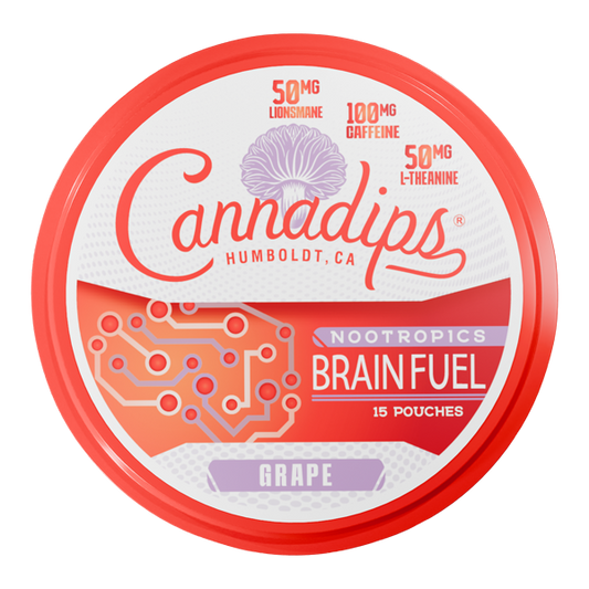 BUY 1 GET 1 FREE Grape CANNADIPS Brain Fuel Pouches | Vape Amazon India