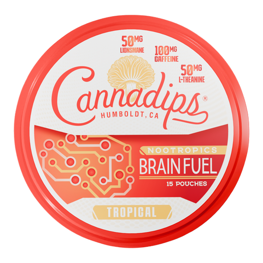 BUY 1 GET 1 FREE Tropical CANNADIPS Brain Fuel Pouches | Vape Amazon India