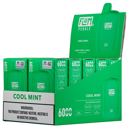 BUY 1 GET 1 FREE Cool Mint FLUM Pebble | Vape Amazon India