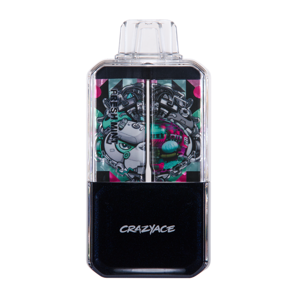 BUY 1 GET 1 FREE Fresh Mint Crazy Ace B15000 | Vape Amazon India