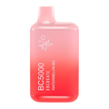 BUY 1 GET 1 FREE Watermelon BG BC5000 | Vape Mumbai India EBCREATE