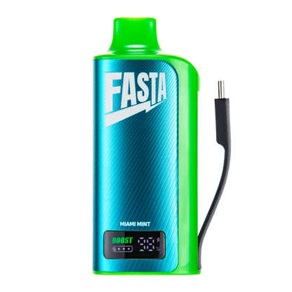 BUY 1 GET 1 FREE Miami Mint FASTA PLUGIN 18000 | Vape Amazon India