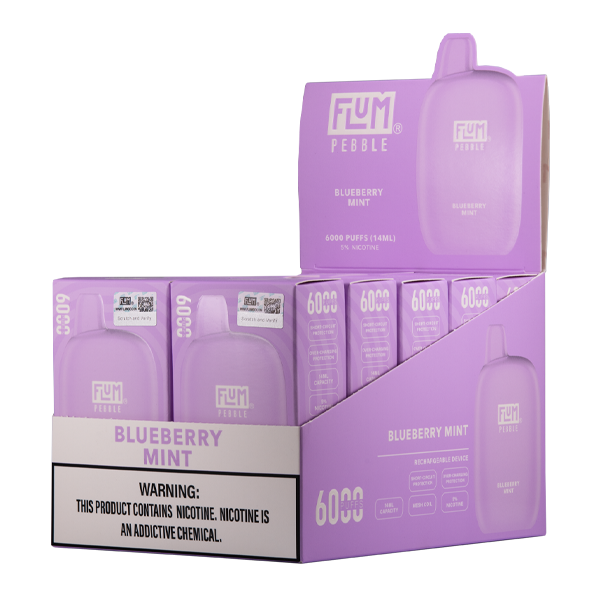 BUY 1 GET 1 FREE Blueberry Mint FLUM Pebble | Vape Amazon India