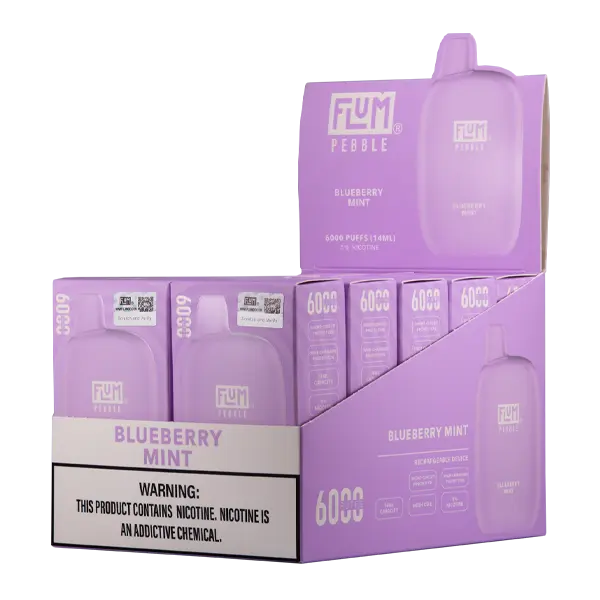 BUY 1 GET 1 FREE Blueberry Mint FLUM Pebble | Vape Mumbai India Flum