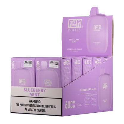 BUY 1 GET 1 FREE Blueberry Mint FLUM Pebble | Vape Amazon India