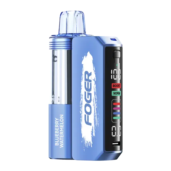 BUY 1 GET 1 FREE Blueberry Watermelon FOGER Switch Pro Kit | Vape Mumbai India Foger