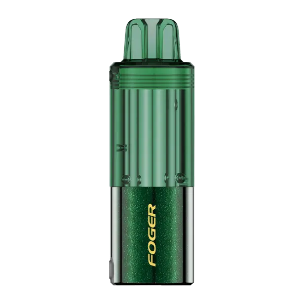 BUY 1 GET 1 FREE Icy Mint FOGER Switch Pro Disposable | Vape Mumbai India Foger