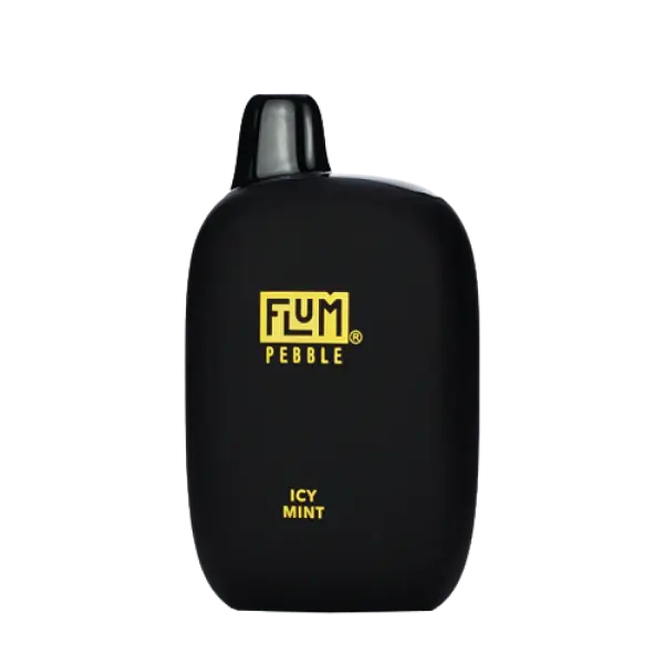 BUY 1 GET 1 FREE Icy Mint Flum Pebble | Vape Mumbai India Flum