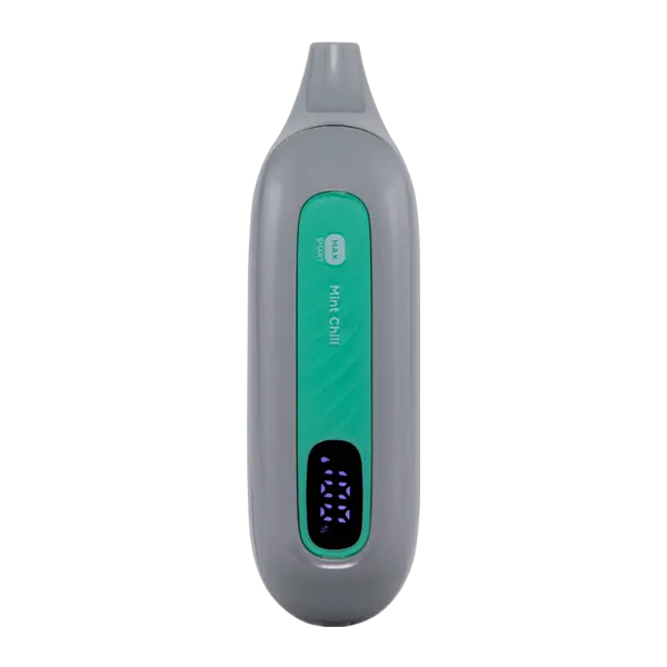 BUY 1 GET 1 FREE Mint Chill FLONQ Max Smart | Vape Mumbai India Flonq