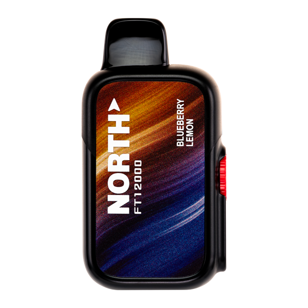 BUY 1 GET 1 FREE Blueberry Lemon North FT12000 | Vape Amazon India