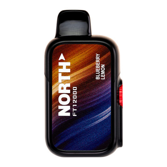BUY 1 GET 1 FREE Blueberry Lemon North FT12000 | Vape Amazon India