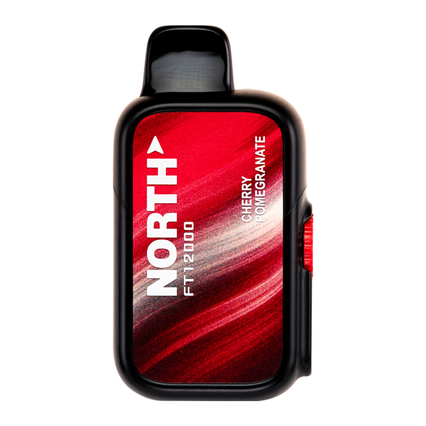 BUY 1 GET 1 FREE Cherry Pomegranate North FT12000 | Vape Amazon India