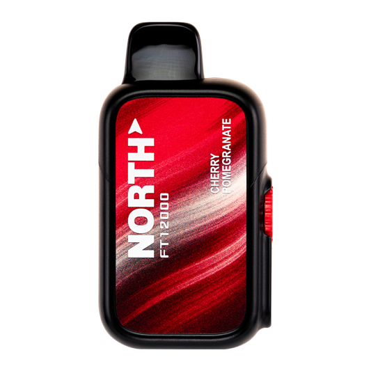 BUY 1 GET 1 FREE Cherry Pomegranate North FT12000 | Vape Amazon India