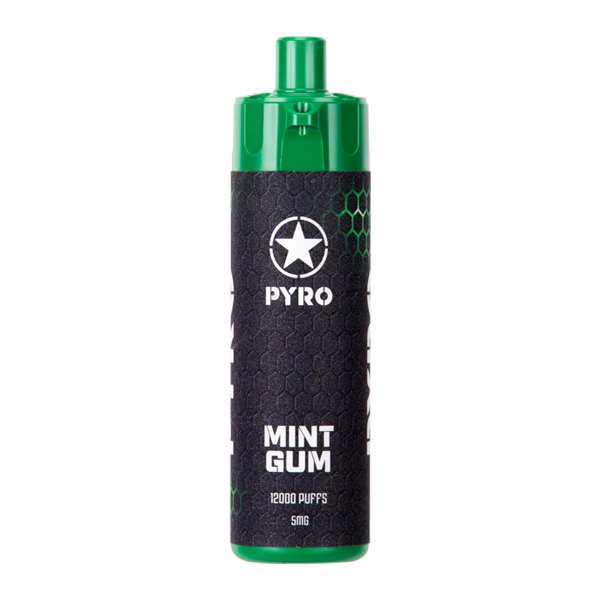 BUY 1 GET 1 FREE Mint Gum PYRO 12000 | Vape Amazon India