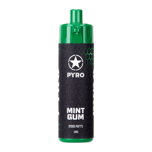 BUY 1 GET 1 FREE Mint Gum PYRO 12000 | Vape Amazon India
