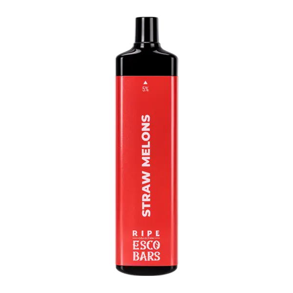BUY 1 GET 1 FREE Straw Melons Esco Bar MEGA | Vape Mumbai India Esco Bar
