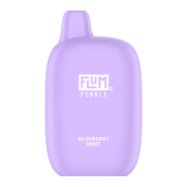 BUY 1 GET 1 FREE Blueberry Mint FLUM Pebble | Vape Mumbai India Flum