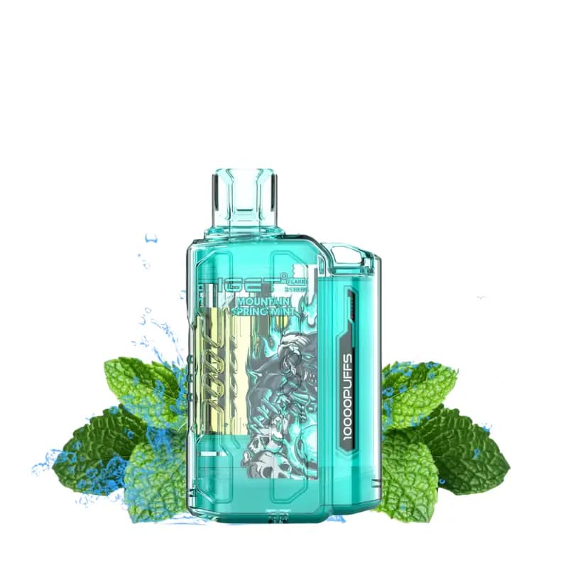 IGET Flare Vape (10000 Puffs)