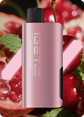 IGET Soul (40000 Puffs)